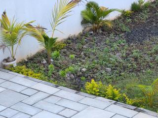 The Palms Property - 9