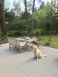 Natuurhuisje Even Niets - 9
