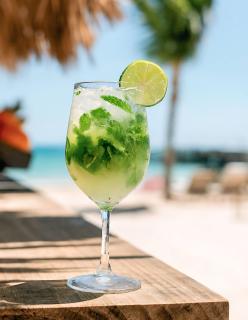 Punta Cana Garden Beach Residences Hotel I - 2