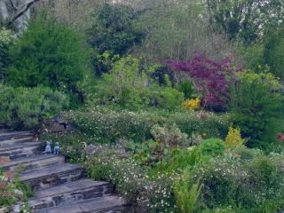 Kerslake House - 6