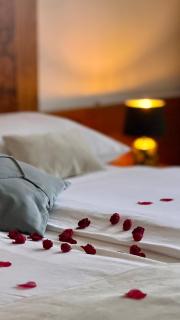 Hotel Exclusive - Sarajevo - 8