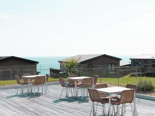 Lodge 15 at Landscove Holiday Park - 8