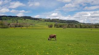 FeWo Berghem - 9