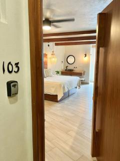 Luxury Studio 103 in Zona Romantica - 4