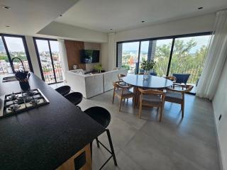 Gran Nuevo Penthouse Frente al Parque Providencia - 0