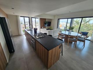Gran Nuevo Penthouse Frente al Parque Providencia - 6