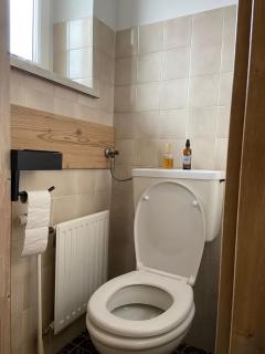 Apartment im schönen Schilcherland Südsteiermark - 4