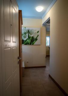 One Bedroom Apartment near Bečići Beach - 5