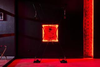 Loveroom Ô Diable Des Plaisirs - 6