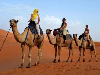 Deluxe Luxurious Cozy Tent at merzouga - 5