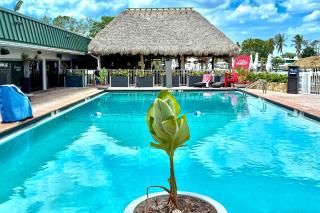 Waterfront Luxury Remodeled Studio! Pool Tiki Bar - 9
