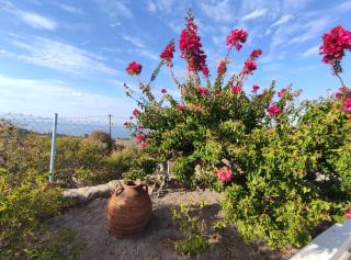«Astrofeggia» A private stone house Nature-Seaview - 8
