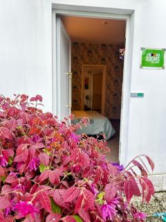 Bedrooms B&B - 1