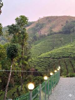 Peak Vagamon - 2