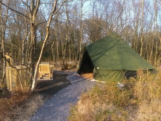 Green woodland bell tent - 3