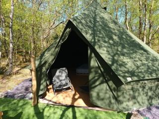 Green woodland bell tent - 1