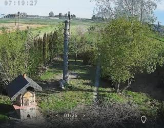 Agroturystyka na winnicy - 4