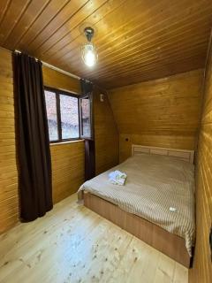 Manor in biisi cottage -კოტეჯი ბიისში - 0