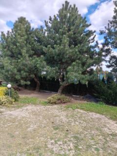 Agroturystyka na winnicy - 8