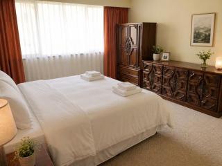 Cozy 3BR Suite Near Airport & Canada Line - 8