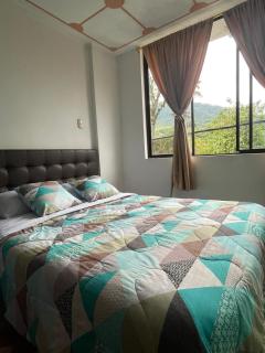 Golden Bird, Mindo - 8