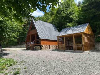 Manor in biisi cottage -კოტეჯი ბიისში - 2