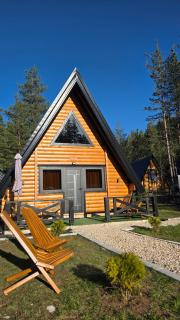 Pine forest-Black - 9