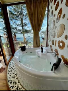 Dajti Alpin Villas - 4