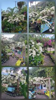 Chez Anna et Hugues - 5