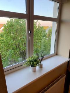 Seafield Double Room - 5