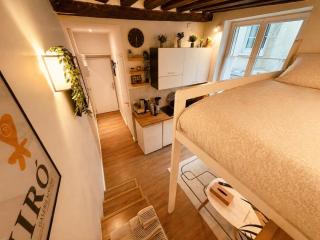 Charming renovated studio, Panthéon, Notre Dame - 9