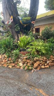 Sítio Estrela da Manhã Hospedagem e Lazer - 8