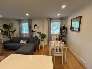 Modern 3 Bedroom with Parking in Boston - 3