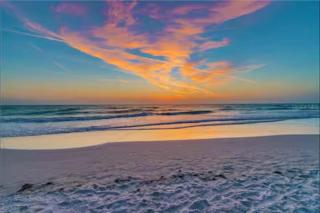 NEW Beach Cozy Bungalow 2B Mins-beach&downtown - Clearwater - 5