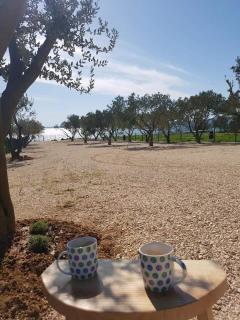 Relax camp - 1