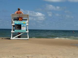 Salty Paws Beach Cottage - 3