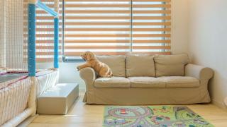 Gyeongju Ain Kids Pool Villa - 8