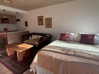 Punta carretas Loft vintage a estrenar , terraza privada y amenities - 2