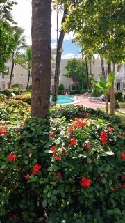 Punta Cana Rooftop Pool Residence I - 8