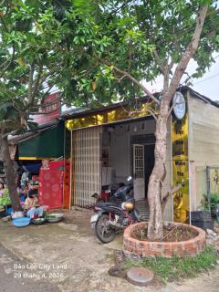 Lương Y Trần Thúy Liên - 4