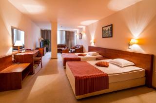 Plaza Hotel - 8