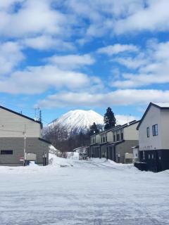 Royal Green Park Niseko Ski Villa - 8