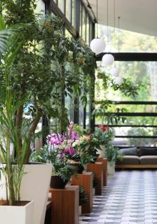 Blossom Hill Hotel Hangzhou Xixi - 4