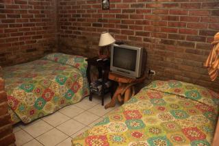 Cozy Countryside Lodge in Ataco with Tropical Gardens - 9