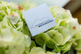 Residence Weisskugel Langtaufers Südtirol - Melago - 6