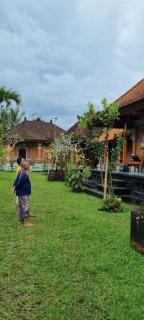 Villa Taman NEAR SIDEMEN - 9