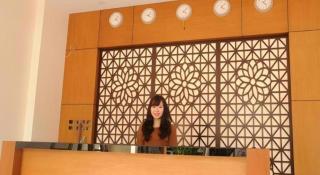 Phoenix Hotel 3 - 5