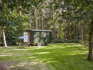 Honeysuckle Hut-Qu7066 - 9