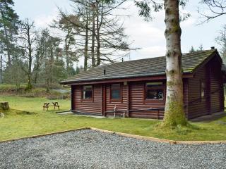 Forest View - 1