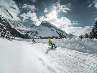 Stylish Flats in Uderns near Ski Lifts - 3